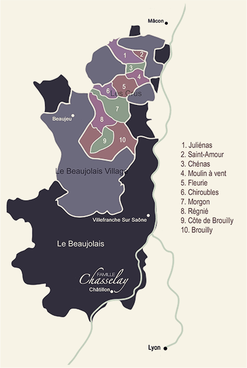 Quel Beaujolais Choisir 2021 ?