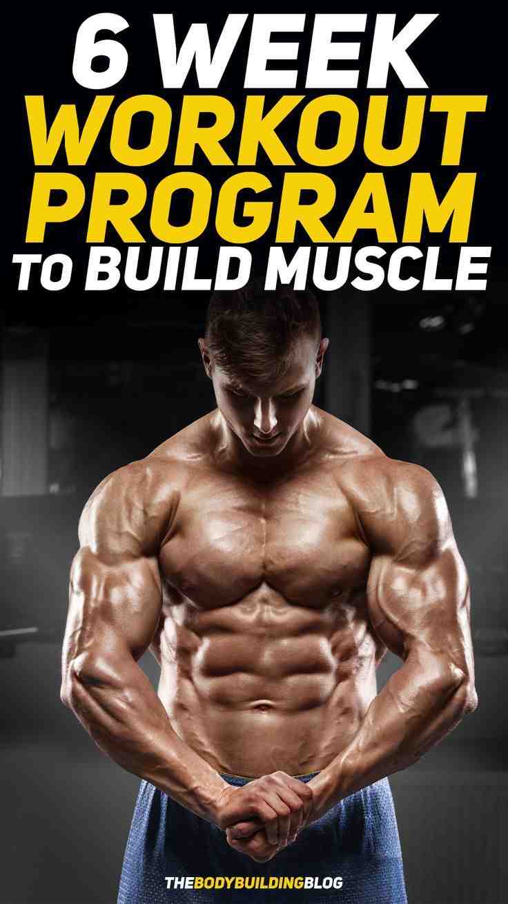 Quelle est la meilleure protéine pour prendre du muscle ?