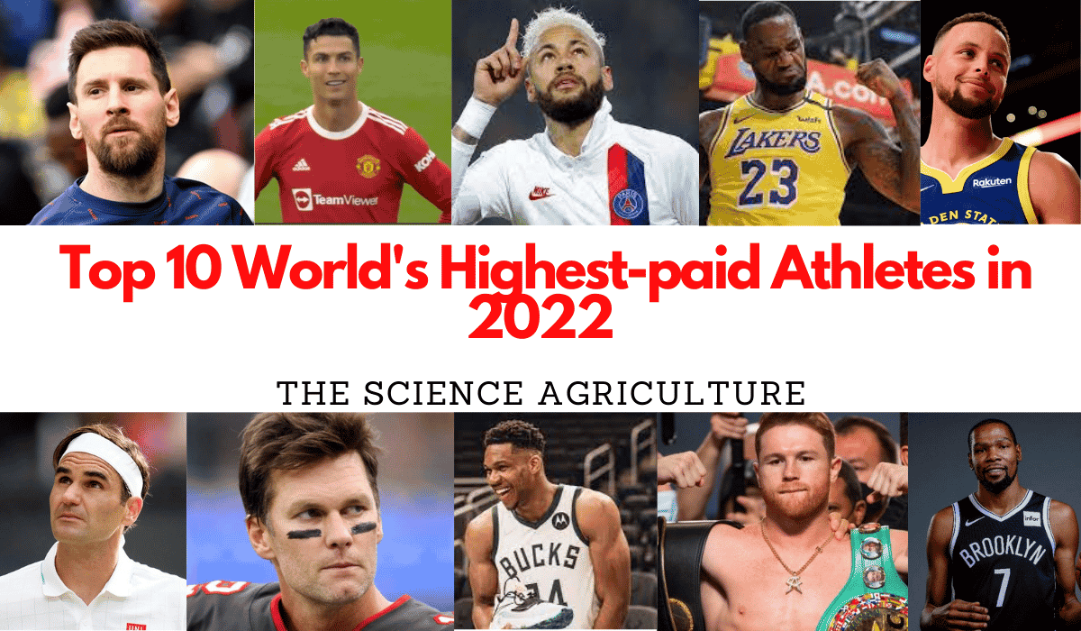 Quel est le sportif le mieux payé en 2022 ?
