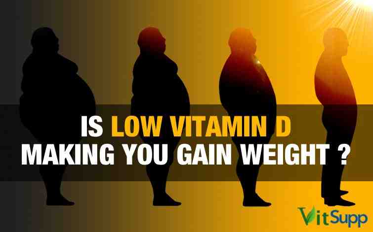 Quelle est la vitamine D la plus naturelle ?