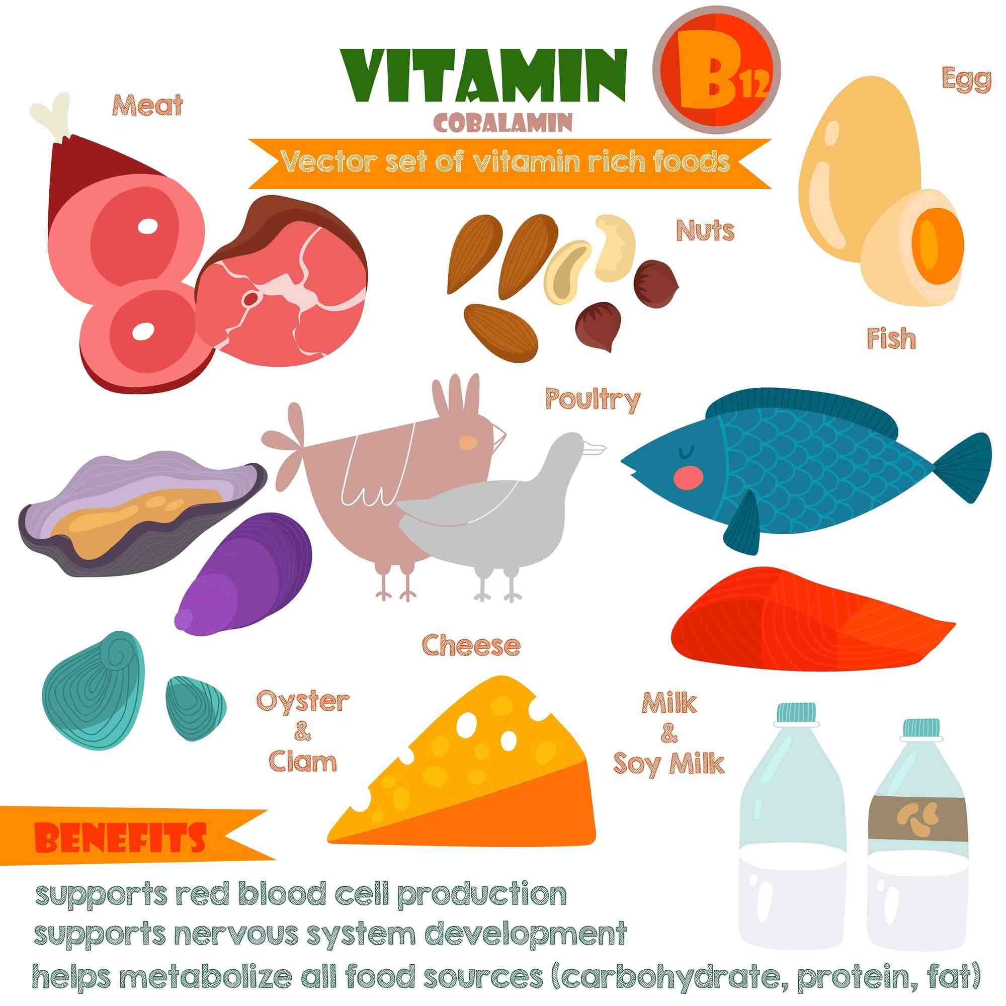 Qu'est-ce qui détruit la vitamine B12 ?